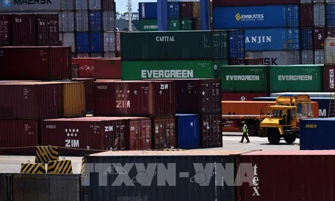 Ấn Độ kỳ vọng xuất khẩu tăng mạnh trong năm 2022