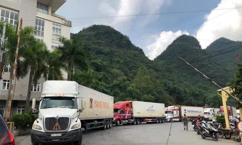 Doanh nghiệp phải thực hiện đúng các quy định trong xuất khẩu và phòng chống dịch của Trung Quốc