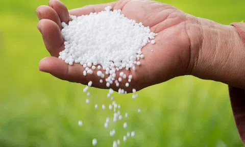 Australia mở rộng quy mô sản xuất urê, giải quyết đứt gãy chuỗi cung ứng