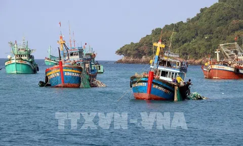 Giá trị sản xuất thủy sản của Kiên Giang tăng gần 4%