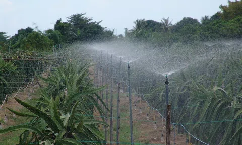 Bình Thuận định hướng phát triển thủy lợi nhỏ, tưới tiết kiệm nước