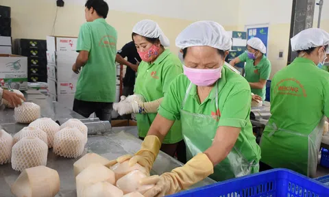 Bến Tre phát triển các ngành công nghiệp thế mạnh