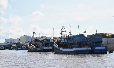 Bạc Liêu chung tay gỡ thẻ vàng của EC