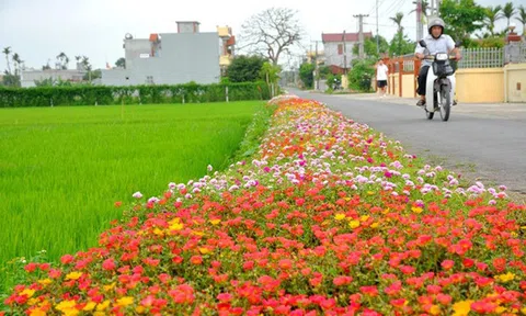 Đồng bào công giáo Thanh Hóa tích cực xây dựng nông thôn mới