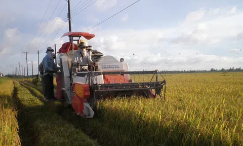 Trà Vinh hỗ trợ phát triển sản phẩm công nghiệp nông thôn