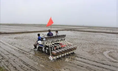 Bà Rịa - Vũng Tàu: Tạo động lực cho các hợp tác xã nông nghiệp