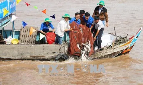 Việt Nam: Chặn suy giảm, phục hồi nguồn lợi thủy sản