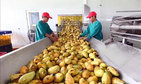 Thúc đẩy nông sản, thực phẩm ngoại tiếp cận người tiêu dùng Việt Nam