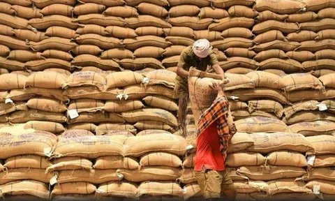 Điểm lại thị trường nông sản tuần qua: Giá các mặt hàng đều tăng trước thềm Giáng sinh