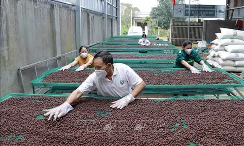 "Trụ đỡ" vững vàng vượt sóng về đích