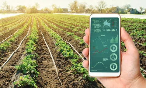 Chăn nuôi và trồng trọt sẽ được ưu tiên chuyển đổi số