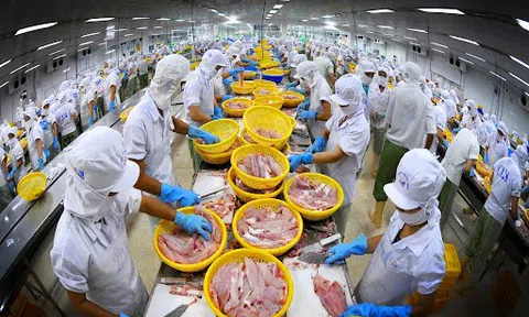 Xuất khẩu nông, lâm sản của Bà Rịa-Vũng Tàu tăng gấp 2 lần