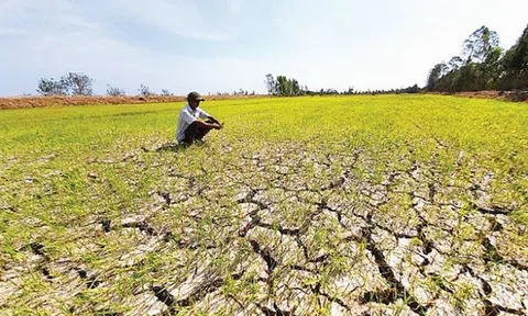 Ứng phó hạn, xâm nhập mặn mùa khô 2021-2022 ở Đồng bằng sông Cửu Long