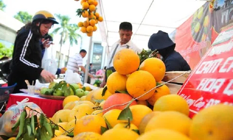Hưng Yên kết nối tiêu thụ cam và sản phẩm nông nghiệp