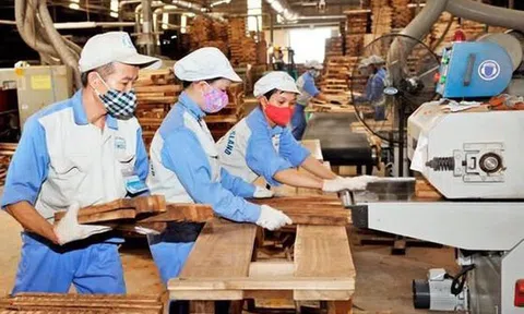 Xuất khẩu lâm sản Việt nam năm 2021 tăng 20%