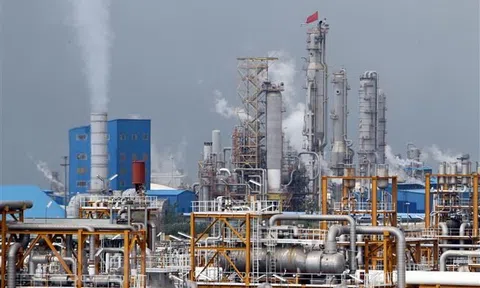 Bất ổn chính trị khiến giá năng lượng tăng vọt trong năm 2021