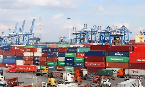 Tranh thủ nắm bắt các cơ hội phát triển mới