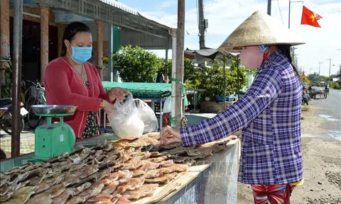 Làng cá khô Phú Thọ - Tam Nông- Đồng Tháp rộn ràng vụ Tết