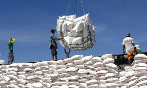 Thị trường nông sản thế giới: Giá gạo Thái Lan và Ấn Độ ít biến động