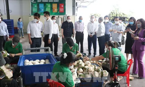 Bến Tre tập trung xúc tiến đầu tư, thương mại và du lịch ngay từ đầu năm