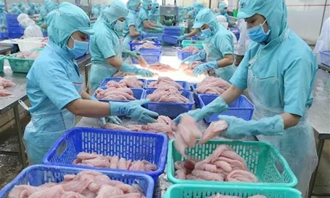 Đề án chuẩn hóa hệ thống kiểm dịch động, thực vật của Việt Nam