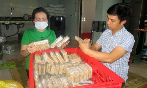Thanh Hóa: Tăng thu nhập từ sản phẩm truyền thống