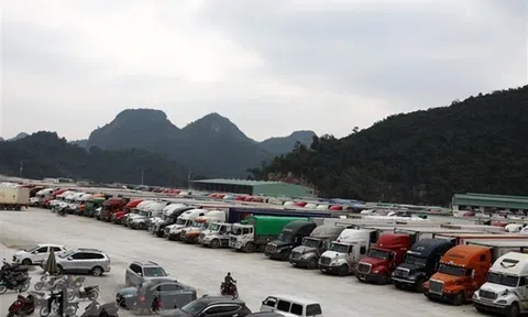 Điều tiết lượng trái cây vào vụ tránh ùn ứ cửa khẩu