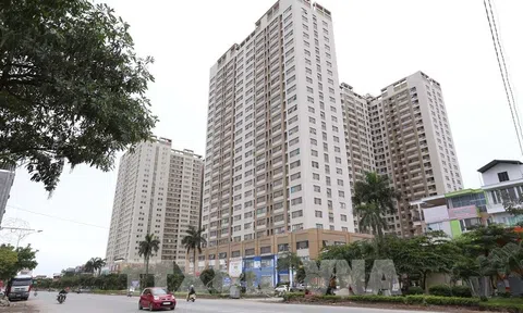 Năm 2022, Tp. Hồ Chí Minh đặt mục tiêu xây mới 14 chung cư cấp D