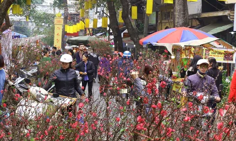 Hà Nội sẽ tổ chức 78 điểm chợ hoa xuân phục vụ Tết