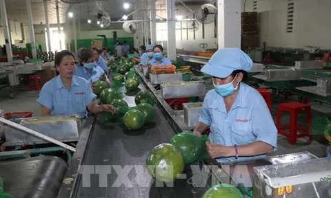 Bến Tre tăng liên kết hỗ trợ xúc tiến thương mại