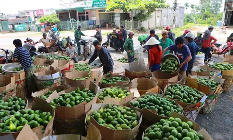 Tiền Giang: Đa dạng thị trường, khơi thông dòng chảy tiêu thụ trái cây