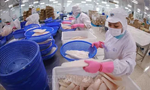 Doanh nghiệp thủy sản “đón sóng” vượt đại dương