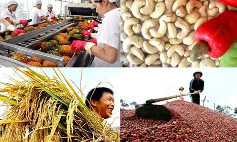 Tiền Giang: Khuyến khích xuất khẩu chính ngạch hàng nông sản gắn với xây dựng thương hiệu