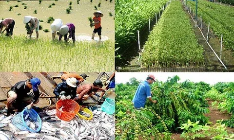 Thái Nguyên đặt mục tiêu giá trị sản xuất nông, lâm nghiệp, thủy sản tăng 3,5%