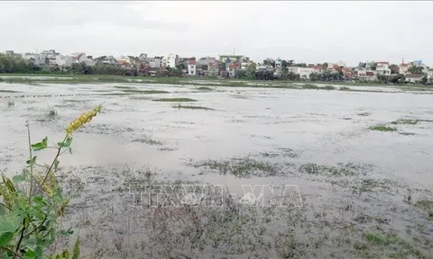Phú Yên: Sớm giải quyết dứt điểm thiệt hại do thi công công trình gây ngập úng
