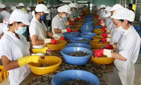 Bạc Liêu: Hỗ trợ doanh nghiệp tăng năng suất chất lượng sản phẩm hàng hóa