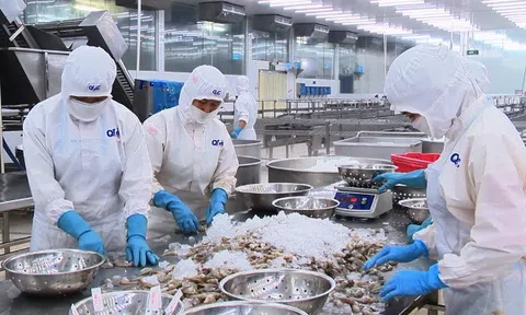 Tiền Giang: Gắn khai thác với chế biến và thị trường tiêu thụ sản phẩm thủy sản