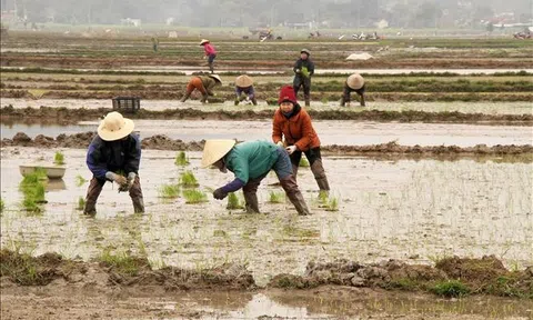 Sẵn sàng các điều kiện để chủ động lấy nước đợt 2 cho vụ Đông Xuân