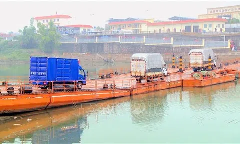 Quảng Ninh: Hỗ trợ doanh nghiệp xử lý hàng hóa bị hư hỏng để đẩy nhanh thông quan