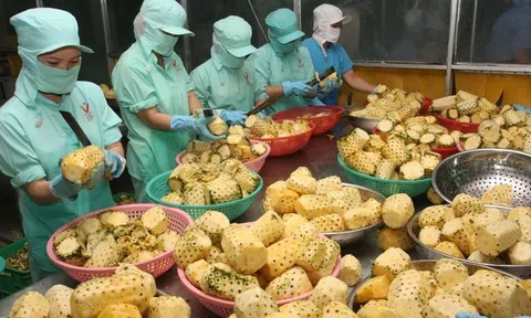 Nâng tầm nông sản Việt để đa dạng thị trường xuất khẩu