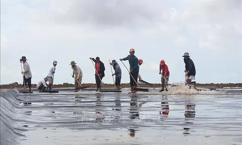 Nghề muối tại Bạc Liêu: Loay hoay với nỗi lo cũ