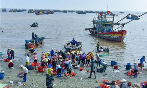 Thanh Hoá: Cảng cá Ngư Lộc tấp nập ngày giáp Tết