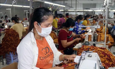 Trà Vinh dự kiến đến năm 2025 có 5.000 doanh nghiệp vừa và nhỏ