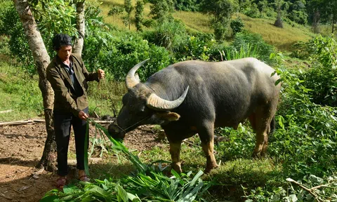 Huyện miền núi Thanh Hóa vươn tới xóa nghèo
