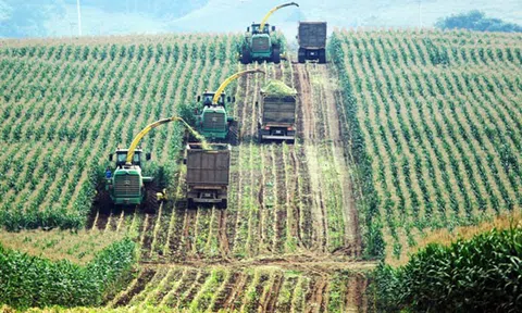 Hà Nội hướng đến phát triển nông nghiệp thông minh