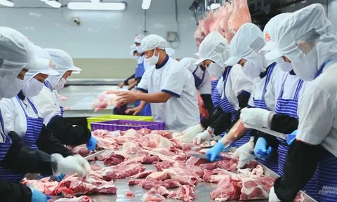 Đảm bảo sản xuất, nguồn cung thực phẩm chất lượng trong dịp Tết Nguyên đán