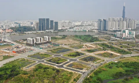 Bỏ cọc sau đấu giá và câu chuyện tăng “nóng” của bất động sản