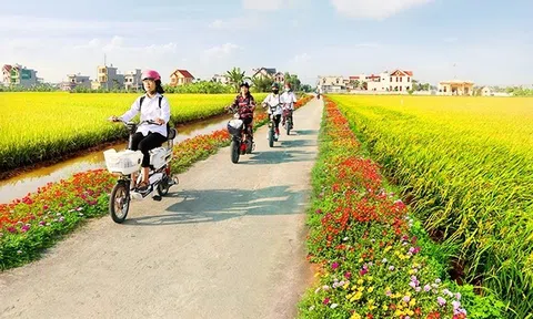 Quảng Ngãi: Điểm sáng nông thôn mới kiểu mẫu ở thôn An Mô