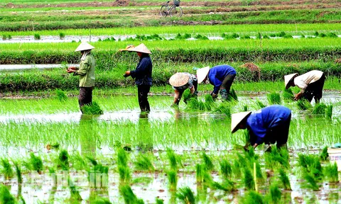 Các địa phương có diện tích lấy nước cho vụ Đông Xuân tăng mạnh