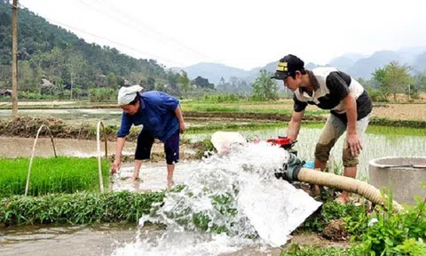 Bắc Ninh dự kiến hoàn thành sớm lấy nước đổ ải vụ Xuân